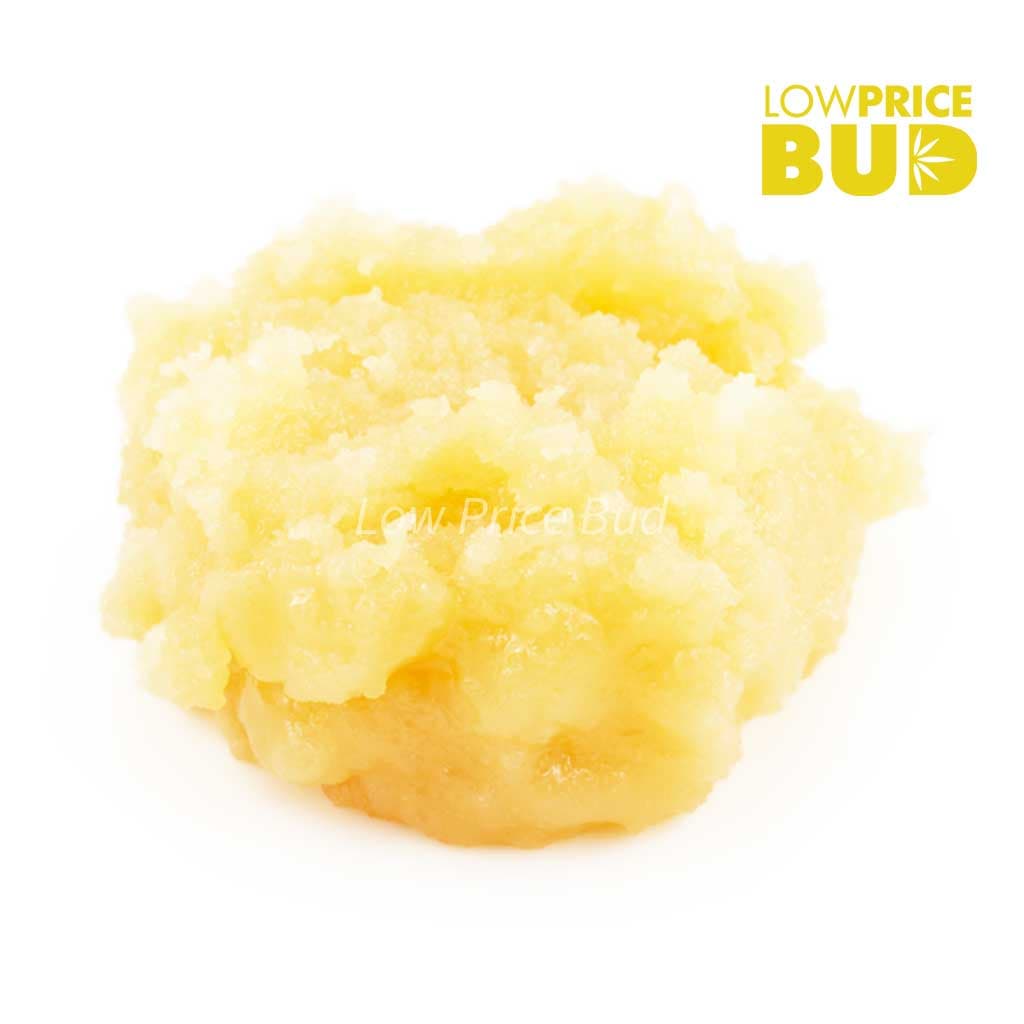 Caviar – Purple Kush