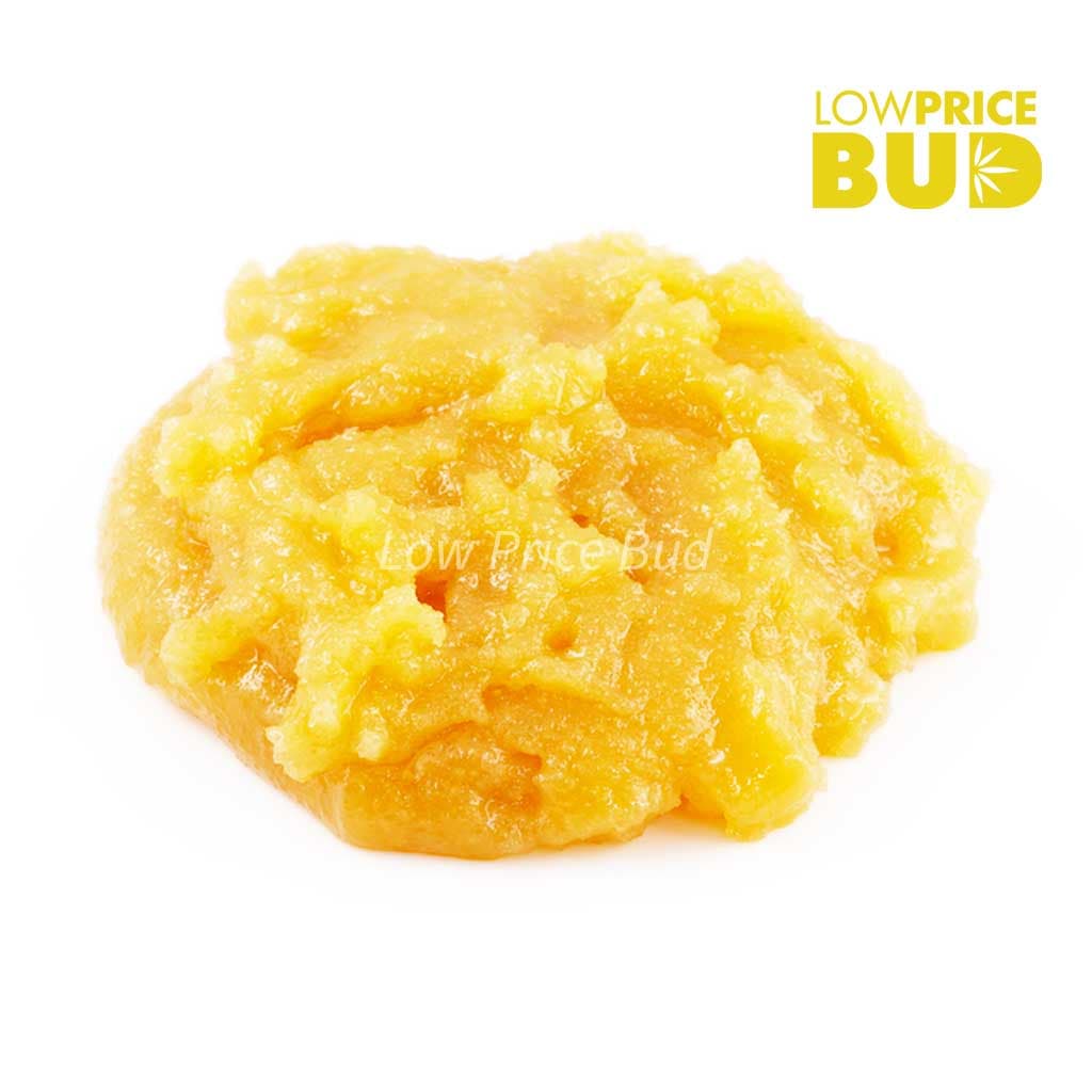 Caviar – Rock Tuna
