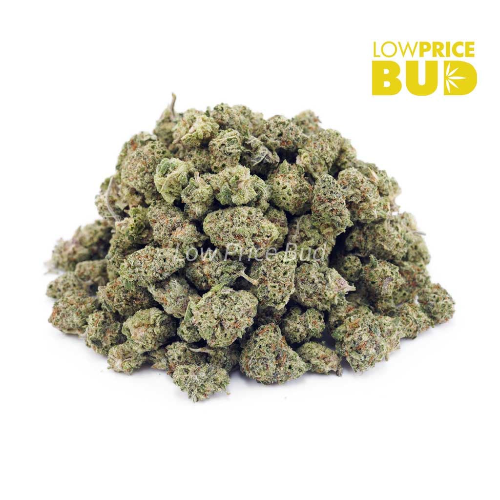Donkey Breath AAAA Popcorn