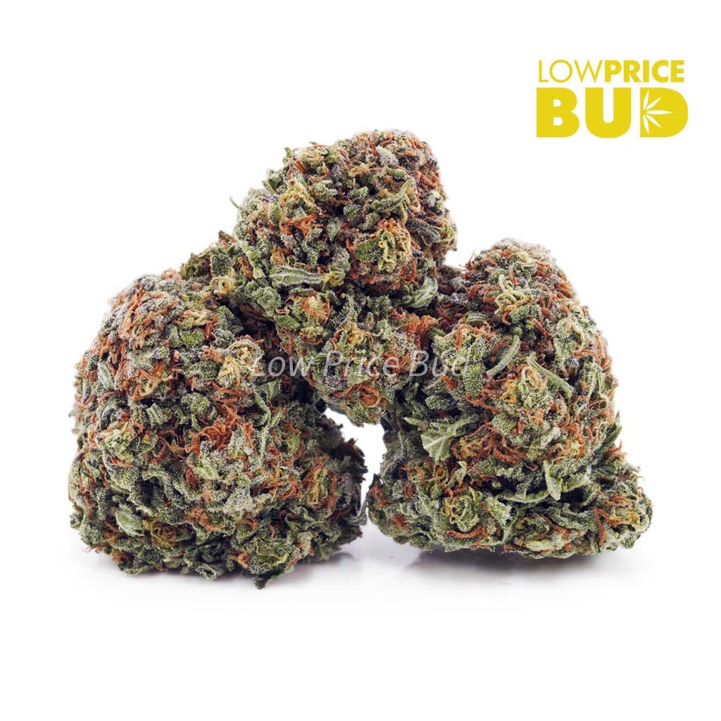 Gorilla Glue AAAA