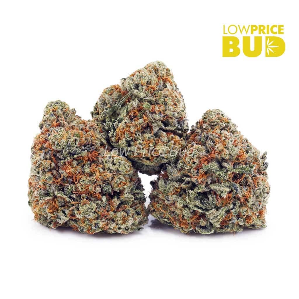 Island Sweet Skunk AAA