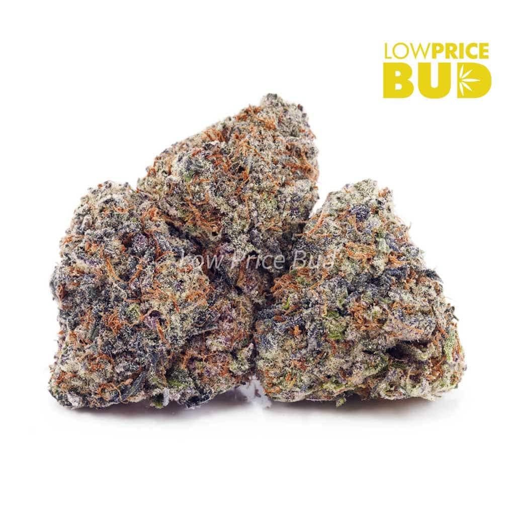 LA Confidential AAA