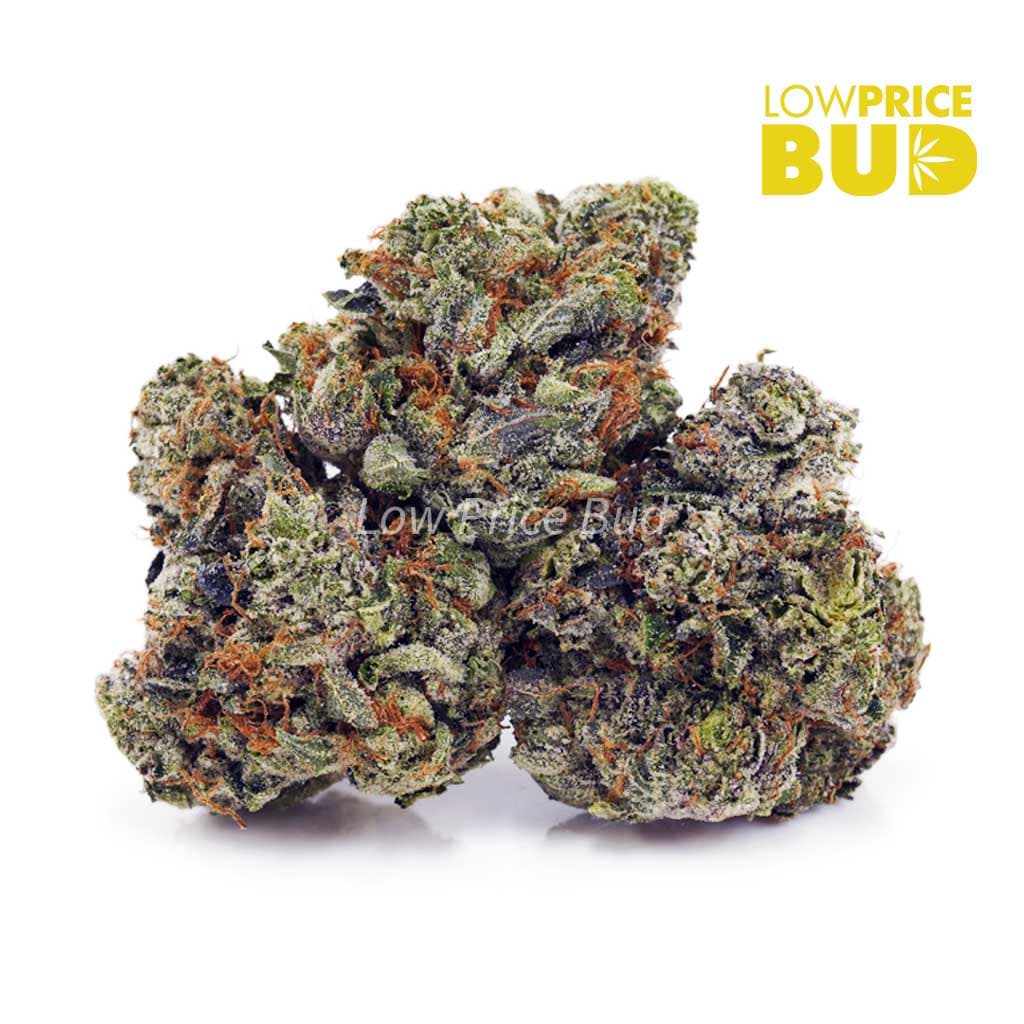 Pink Kush AAAA