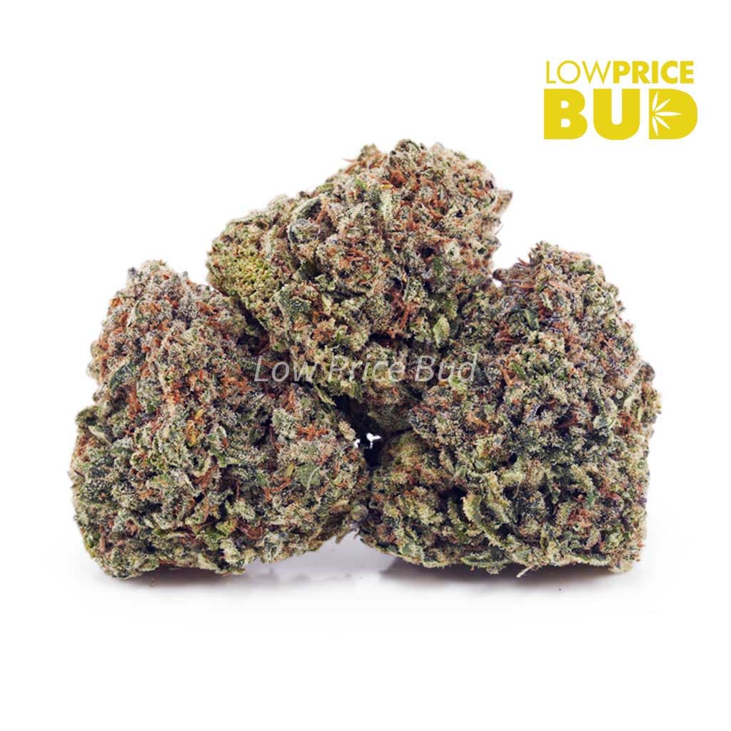 Sour Tangie AA