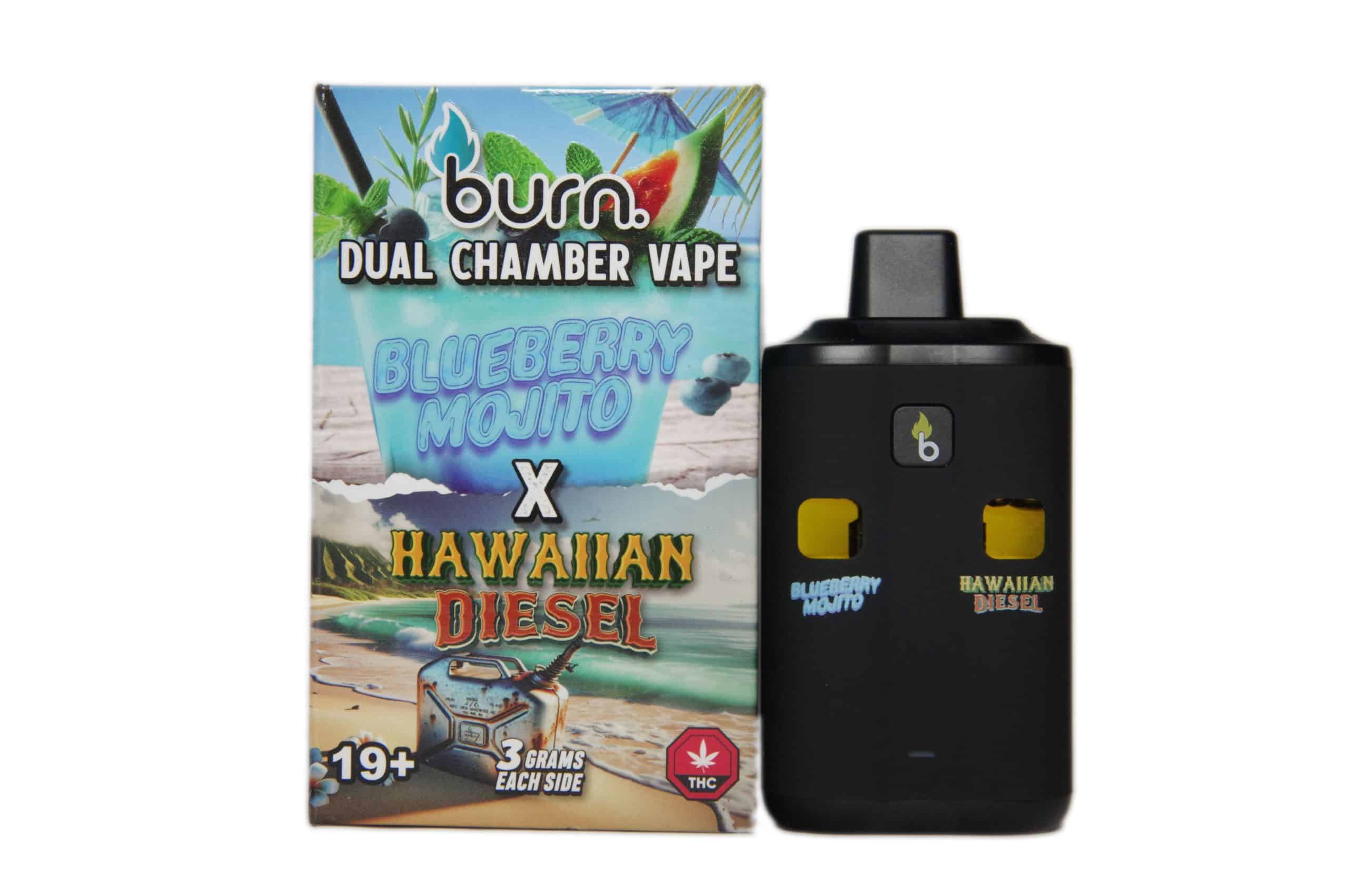 Burn Dual Chamber Disposable Vape 6G