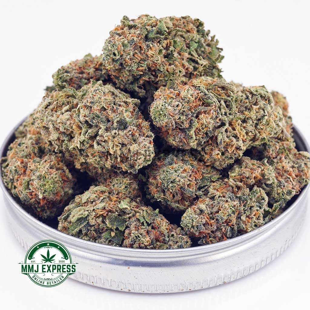 Island Sweet Skunk AA