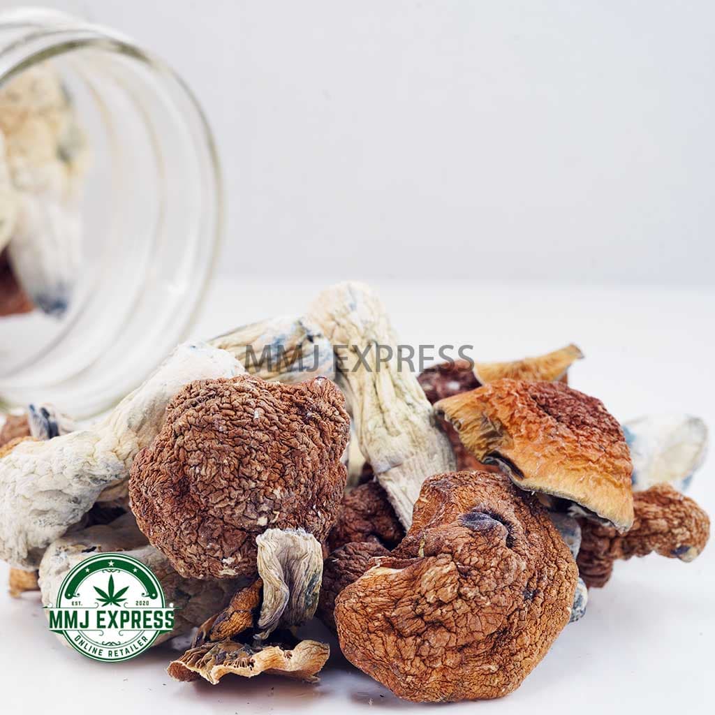 Shrooms – Tidal Wave