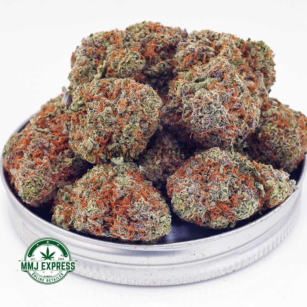 White Rhino AAAA