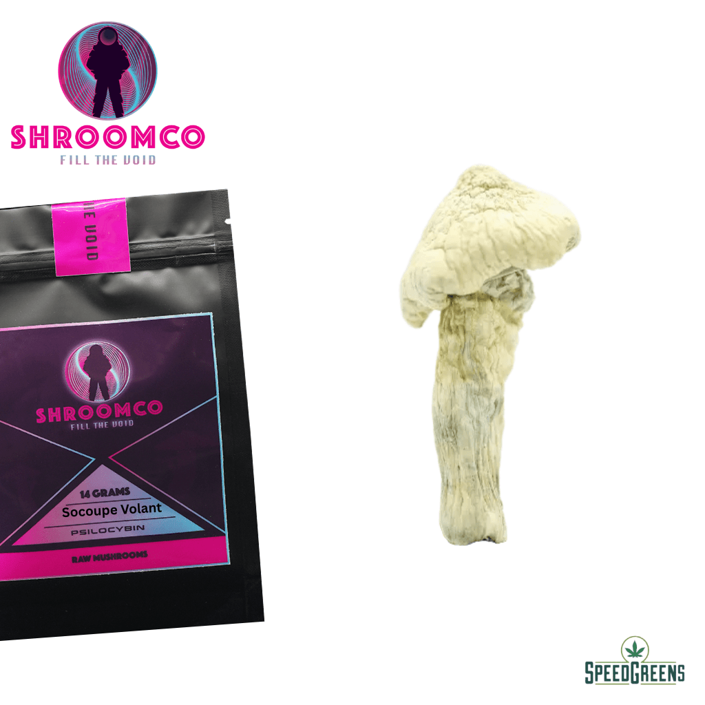 Soucoupe Volante Magic Mushrooms | By ShroomCo®