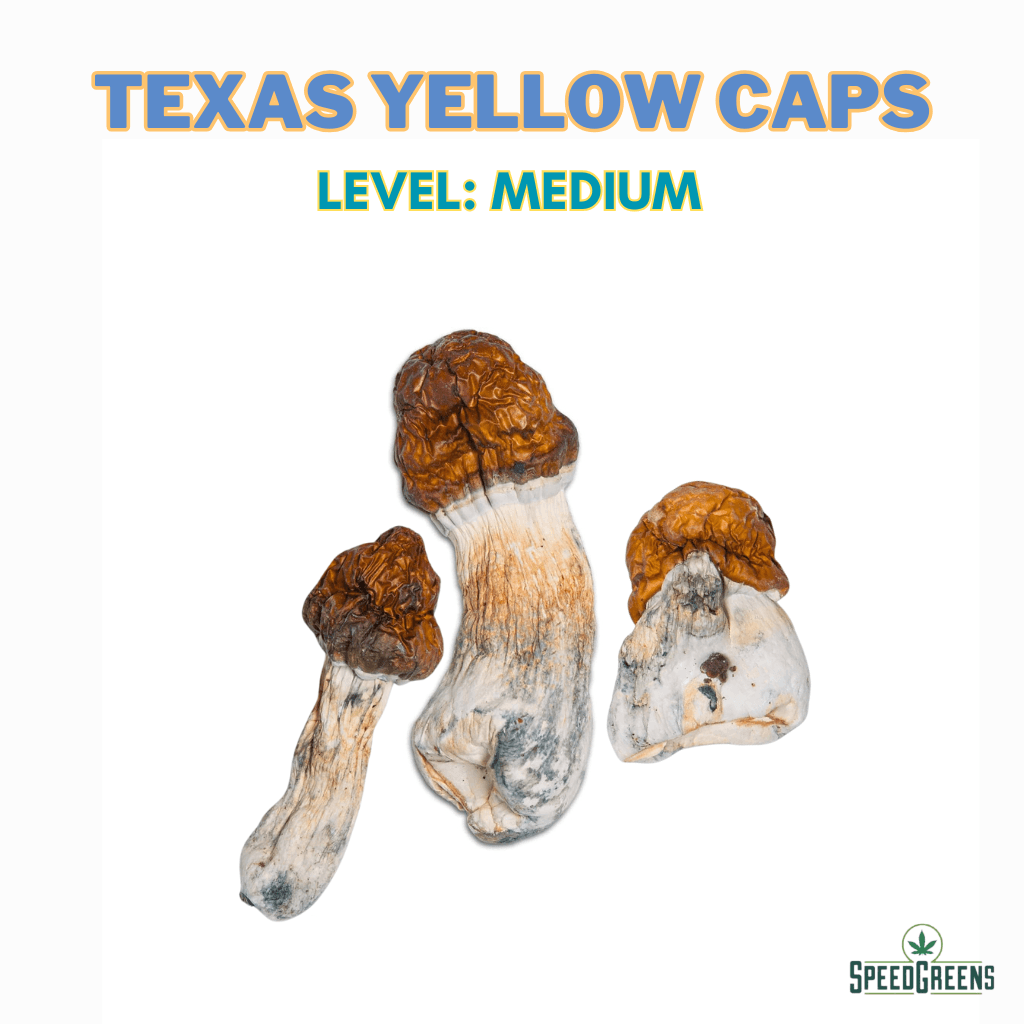 Shrooms – Texas Yellow Caps