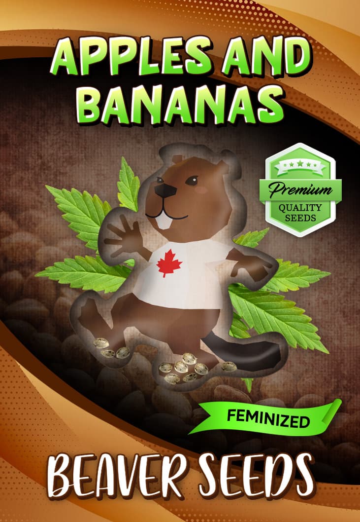 Apples and Bananas seeds at Beaver Seeds