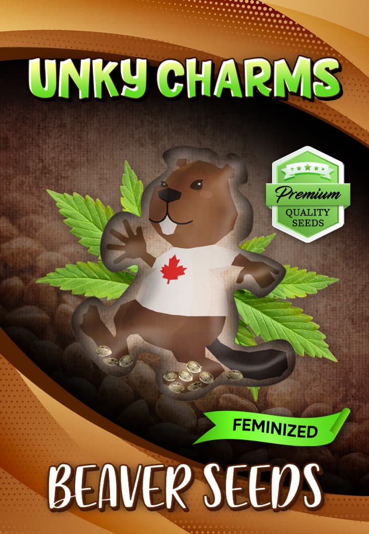 Funky Charms seeds at Beaver Seeds