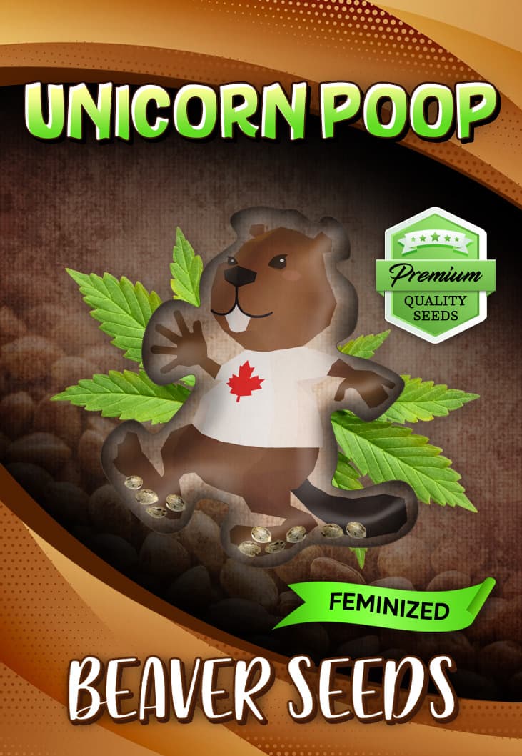 Unicorn Poop Feminized