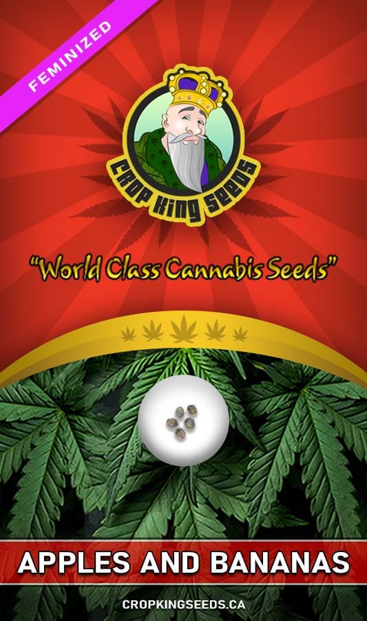 Apples and Bananas seeds at Crop King Seeds