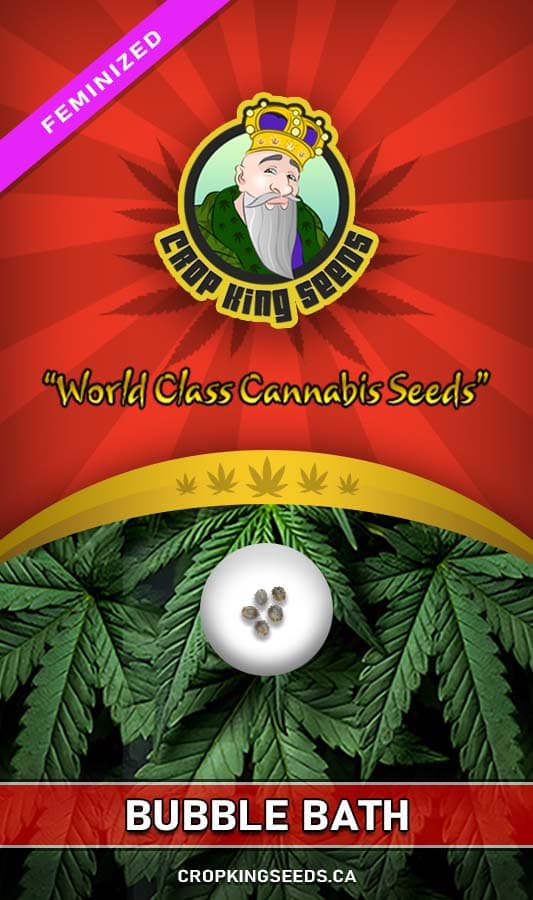 Bubble Bath seeds at Crop King Seeds