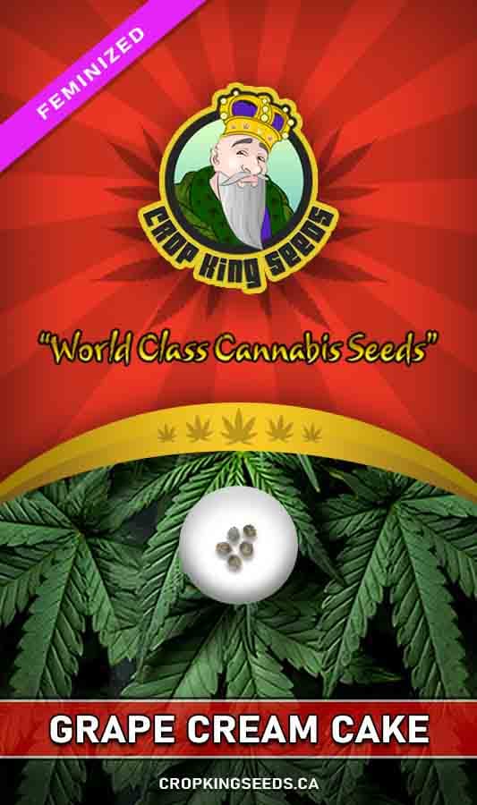 Grape Cream Cake seeds at Crop King Seeds