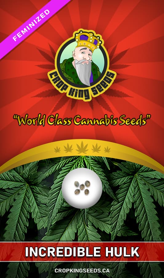 Incredible Hulk seeds at Crop King Seeds