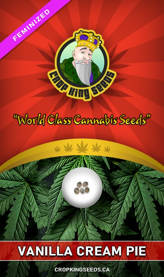 Vanilla Cream Pie seeds at Crop King Seeds