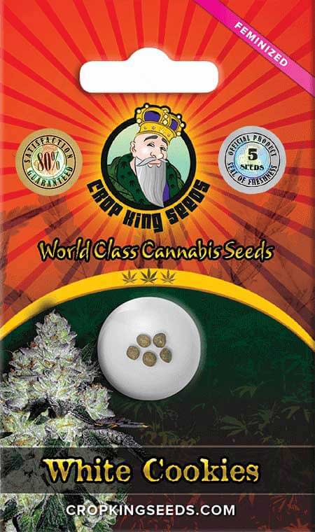 White Cookies seeds at Crop King Seeds