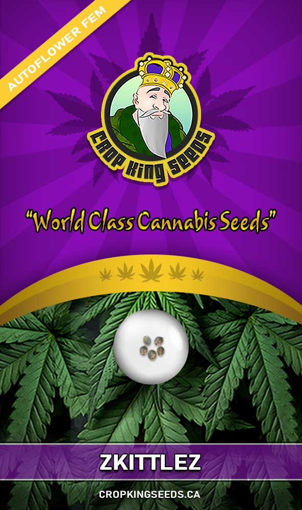 Zkittlez seeds at Crop King Seeds