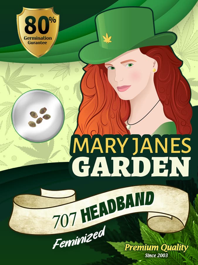 707 Headband seeds at Mary Jane's Garden