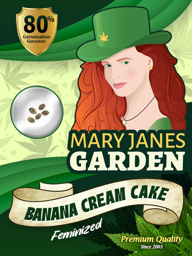 Banana Cream Cake seeds at Mary Jane's Garden