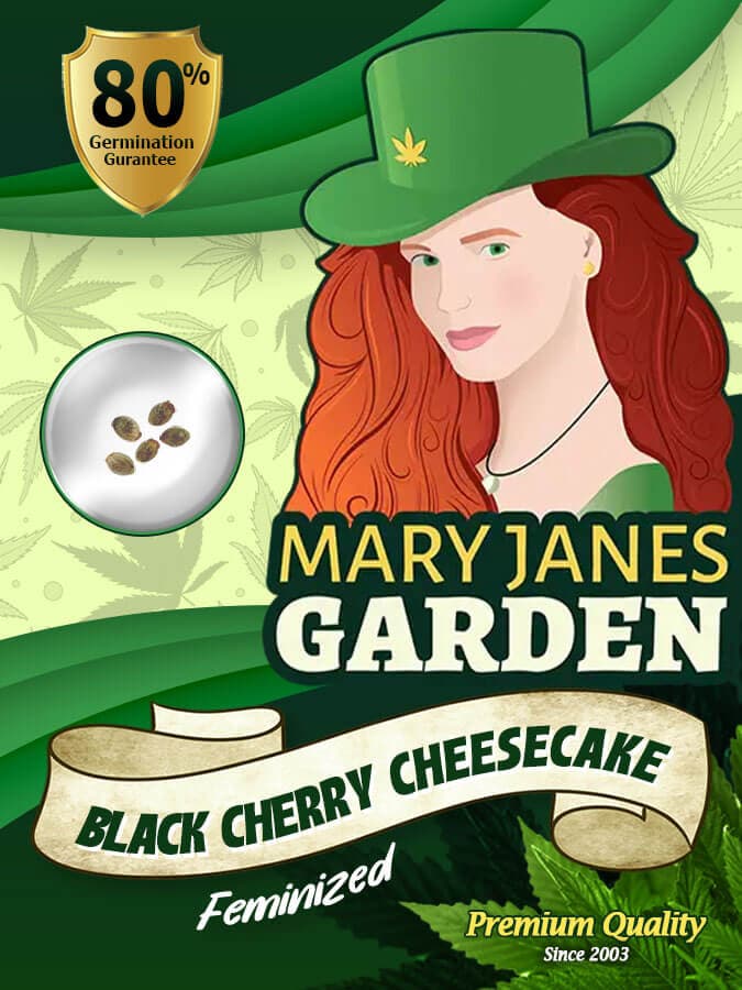Black Cherry Cheesecake seeds at Mary Jane's Garden