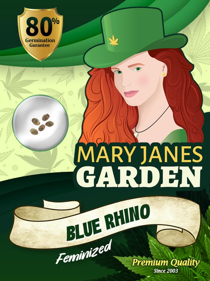 Blue Rhino seeds at Mary Jane's Garden