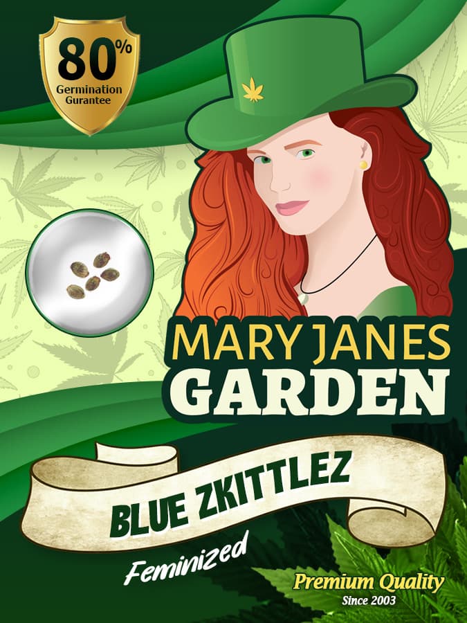 Blue Zkittlez seeds at Mary Jane's Garden