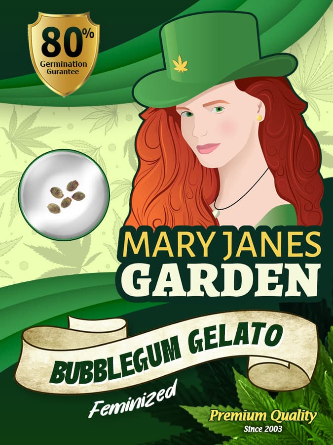 Bubblegum Gelato seeds at Mary Jane's Garden