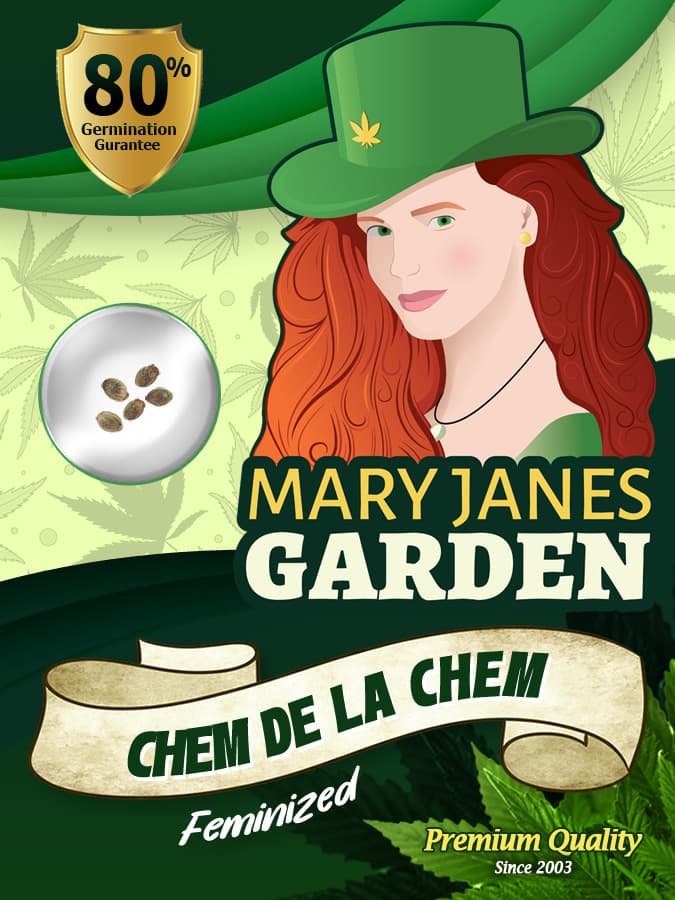 Chem De La Chem seeds at Mary Jane's Garden