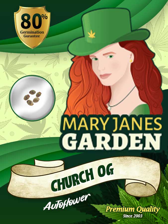Church OG seeds at Mary Jane's Garden