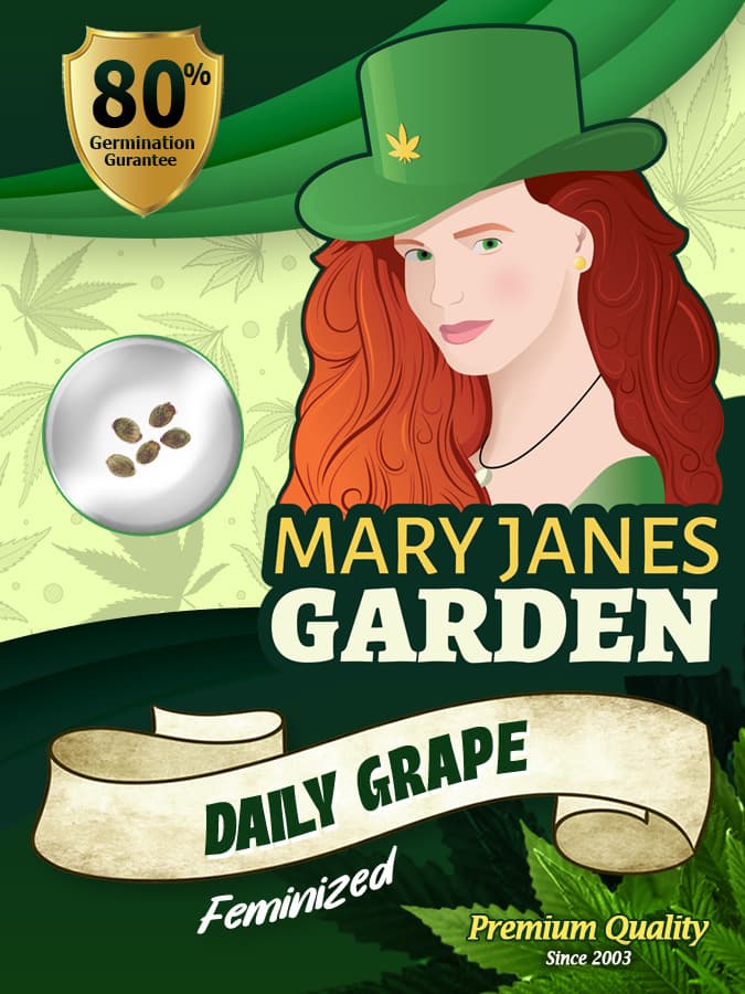 Daily Grape seeds at Mary Jane's Garden