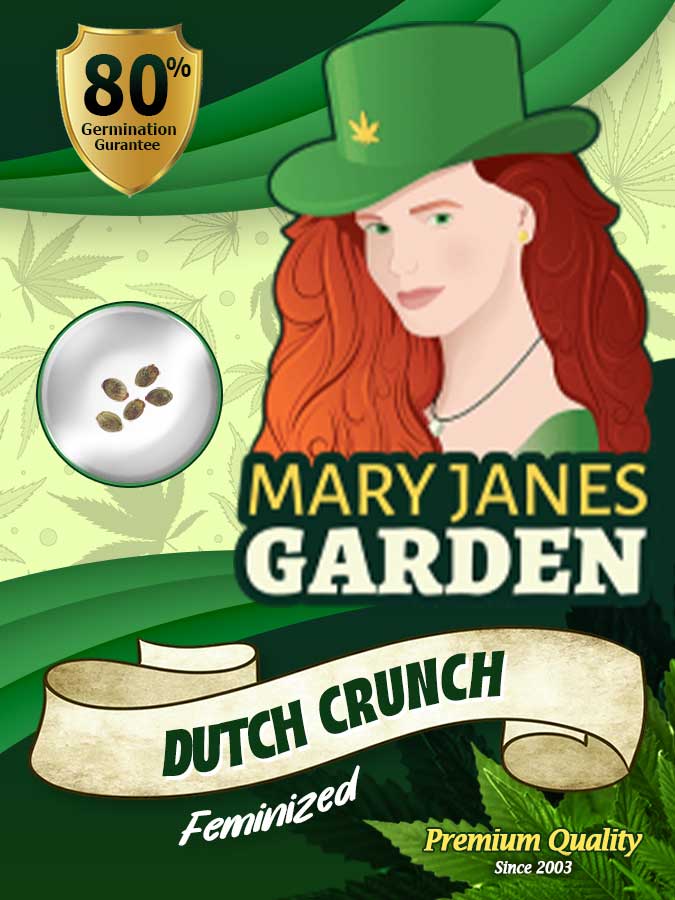 Dutch Crunch seeds at Mary Jane's Garden