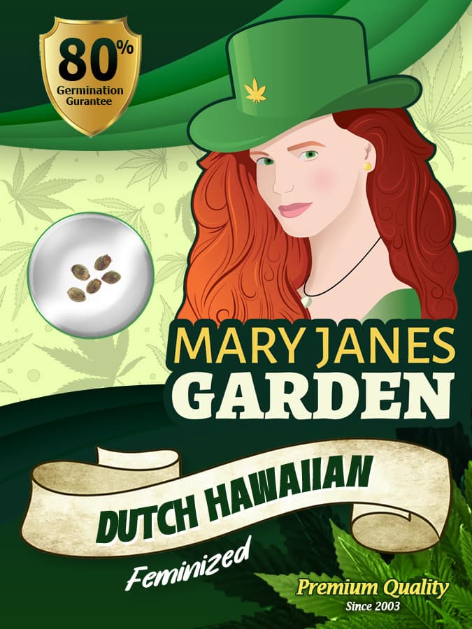 Dutch Hawaiian seeds at Mary Jane's Garden