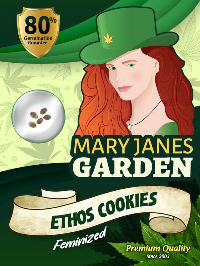 Ethos Cookies seeds at Mary Jane's Garden