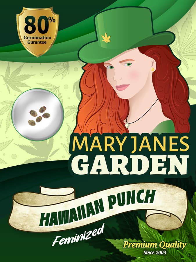 Hawaiian Punch seeds at Mary Jane's Garden