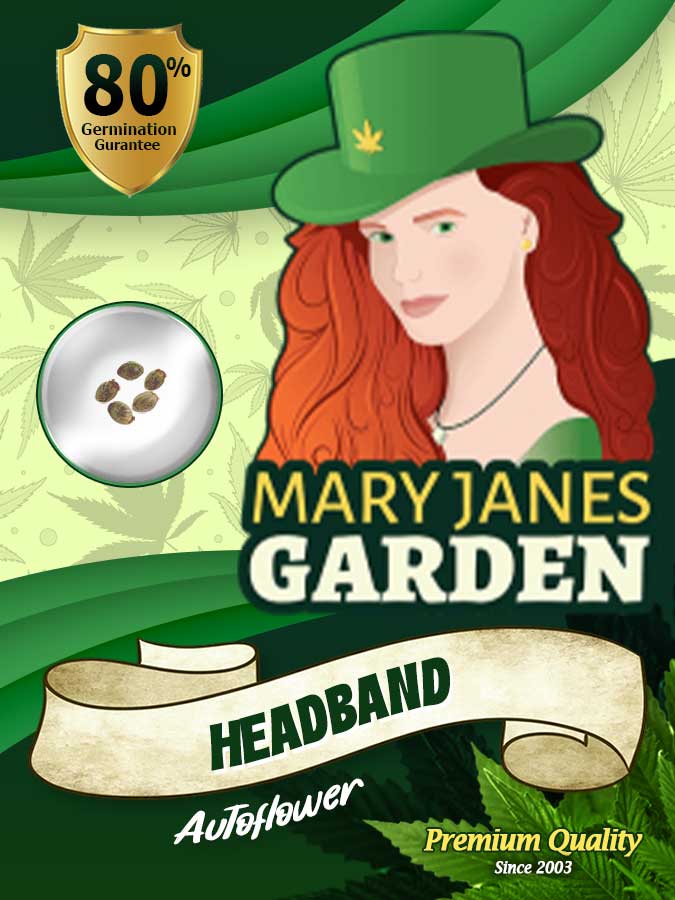 Headband seeds at Mary Jane's Garden