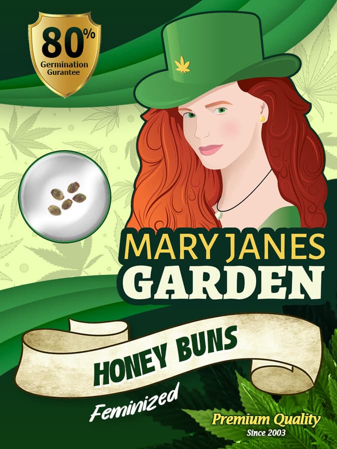 Honey Bun seeds at Mary Jane's Garden