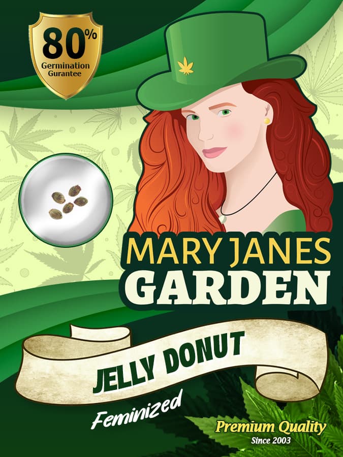 Jelly Donut seeds at Mary Jane's Garden