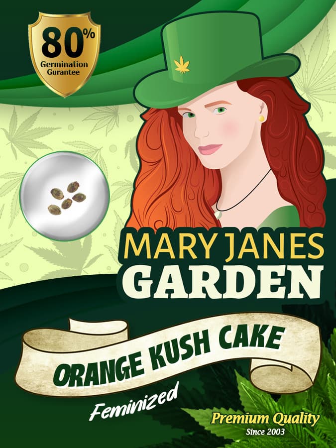 Orange Kush Cake seeds at Mary Jane's Garden
