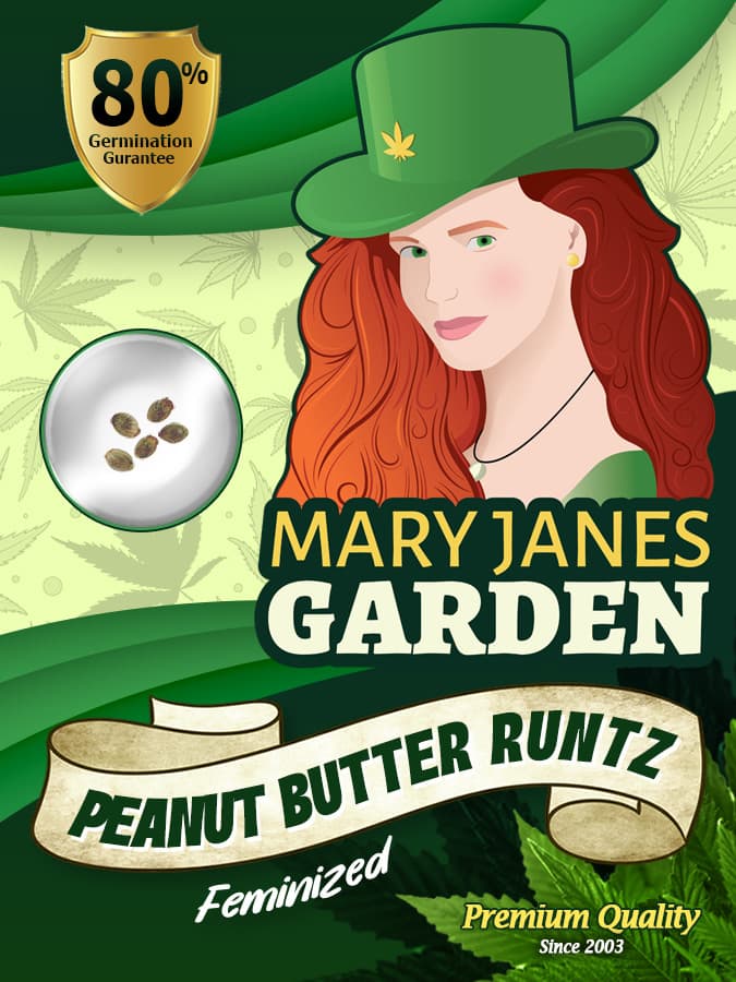 Peanut Butter Runtz seeds at Mary Jane's Garden