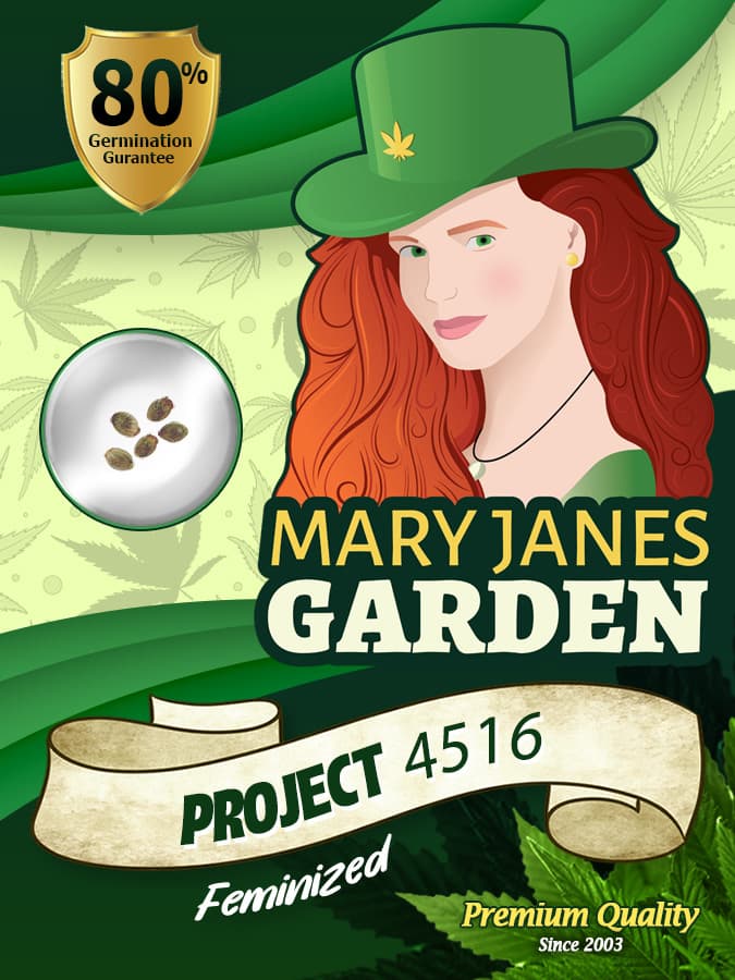 Project 4516 seeds at Mary Jane's Garden