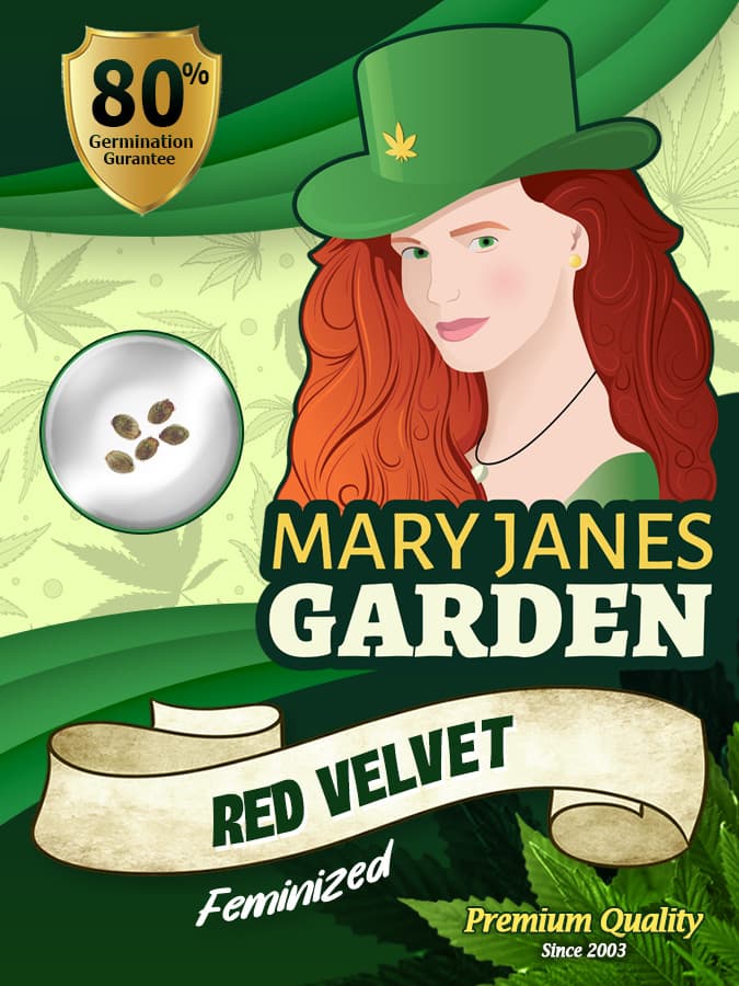 Red Velvet seeds at Mary Jane's Garden