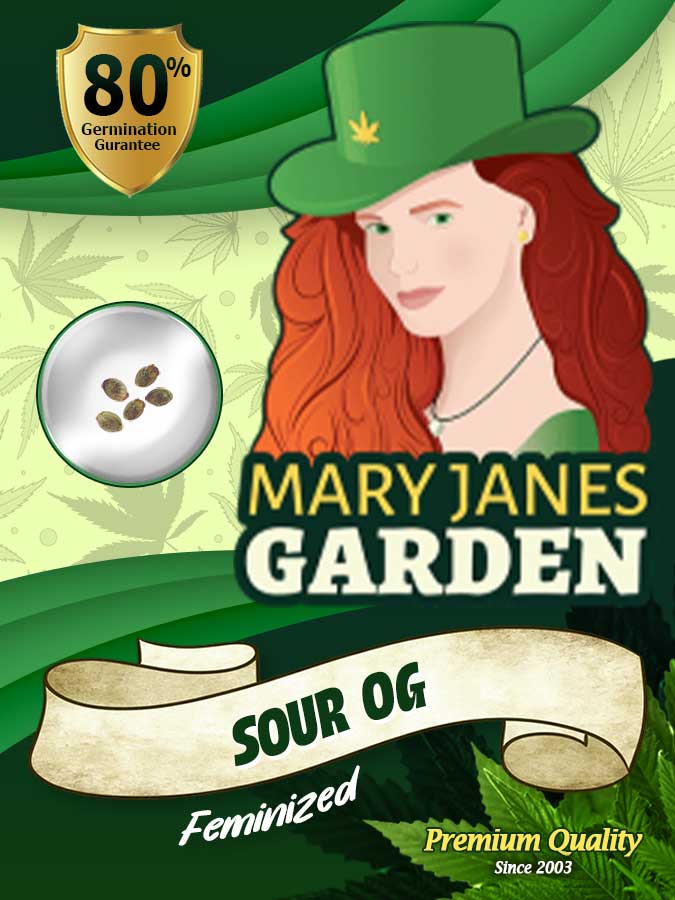 Sour OG seeds at Mary Jane's Garden