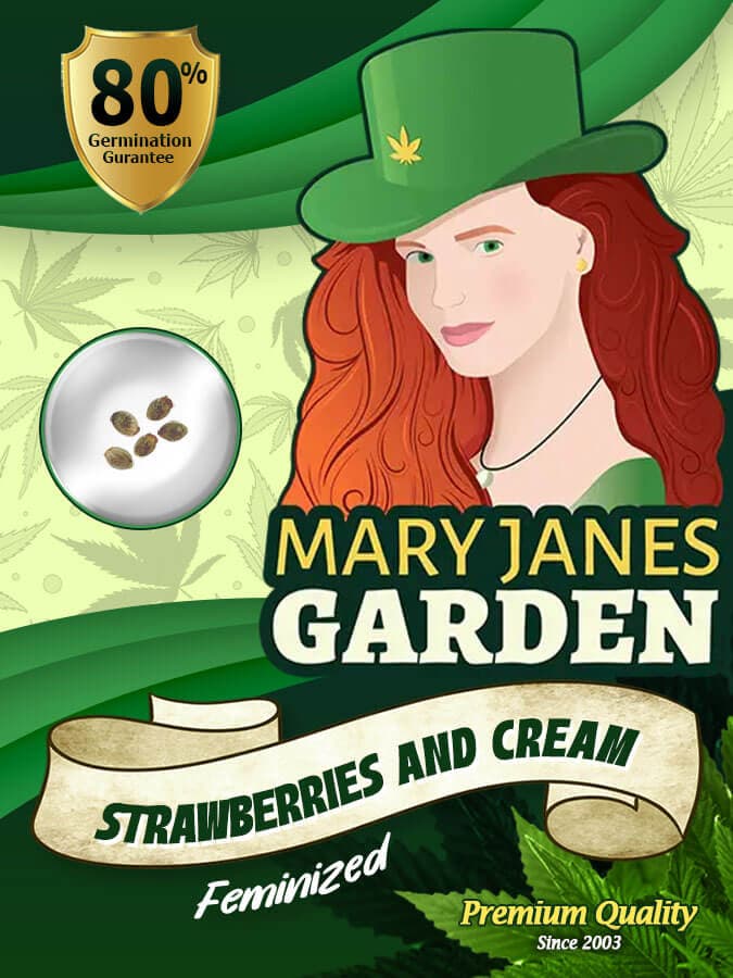 Strawberries and Cream seeds at Mary Jane's Garden