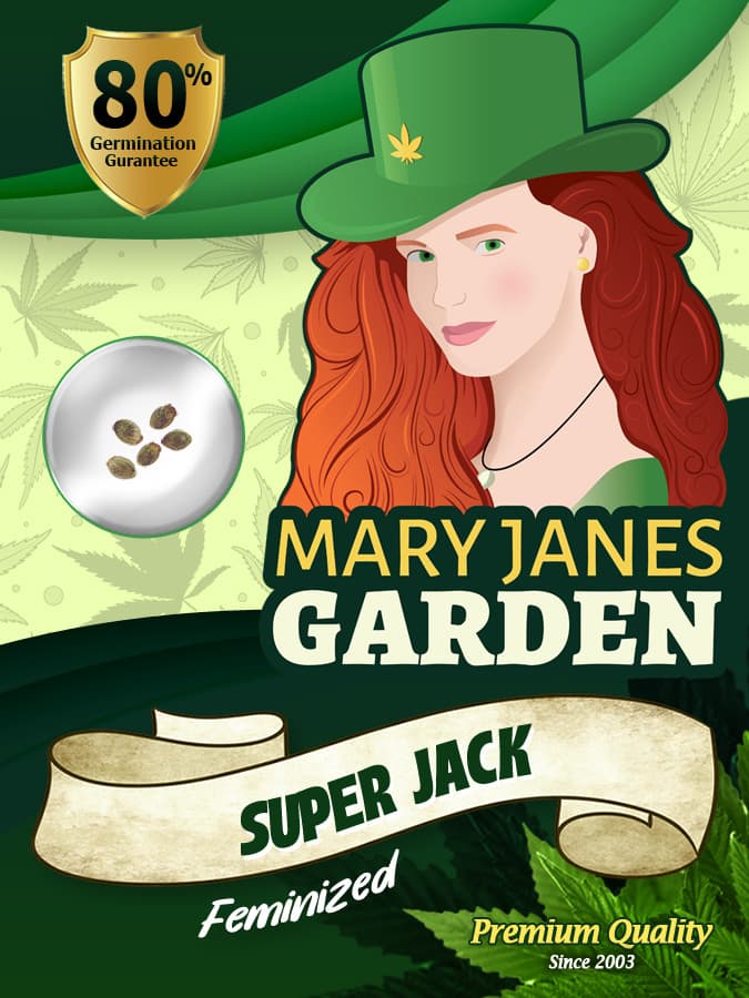 Super Jack seeds at Mary Jane's Garden