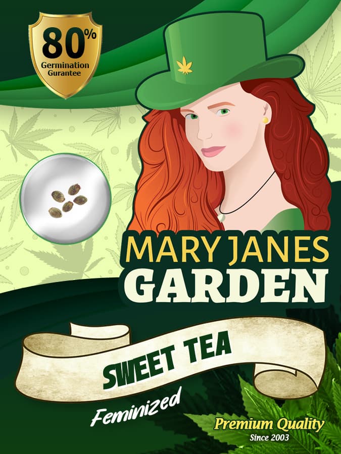 Sweet Tea seeds at Mary Jane's Garden
