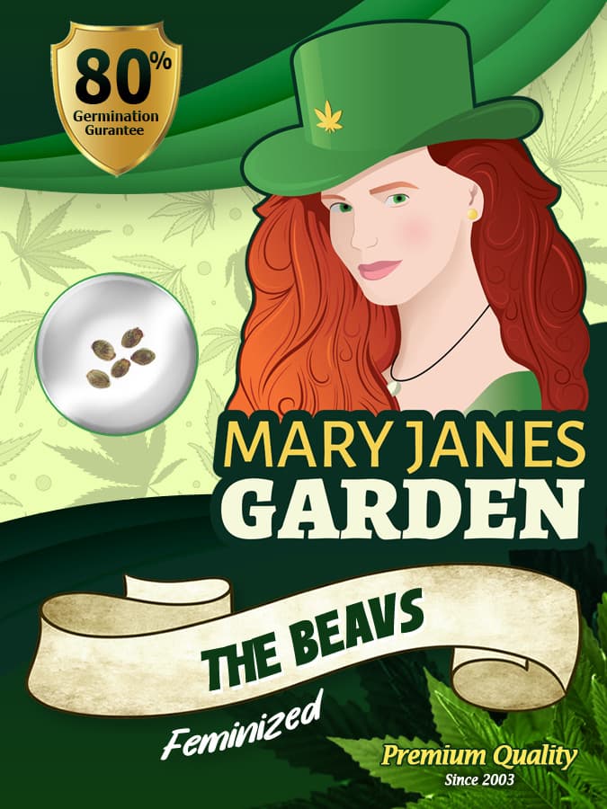 The Beav seeds at Mary Jane's Garden