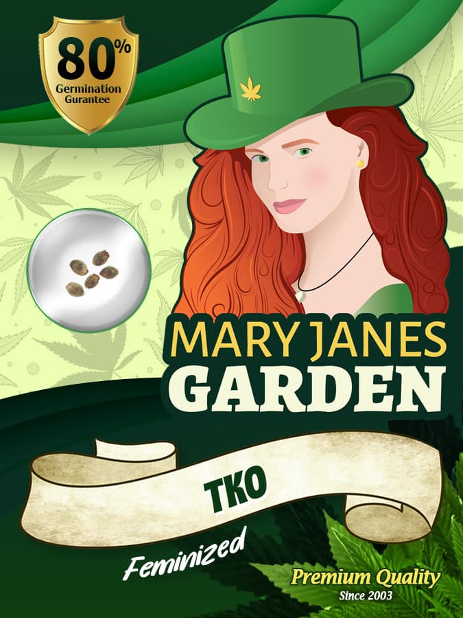 TKO seeds at Mary Jane's Garden